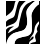 cat5